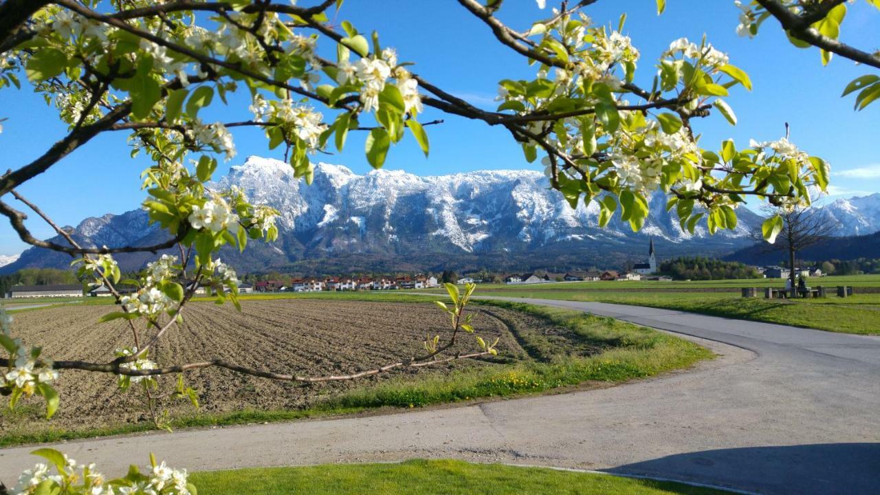 Vor Den Toren Salzburgs Wals-Siezenheim Extérieur photo